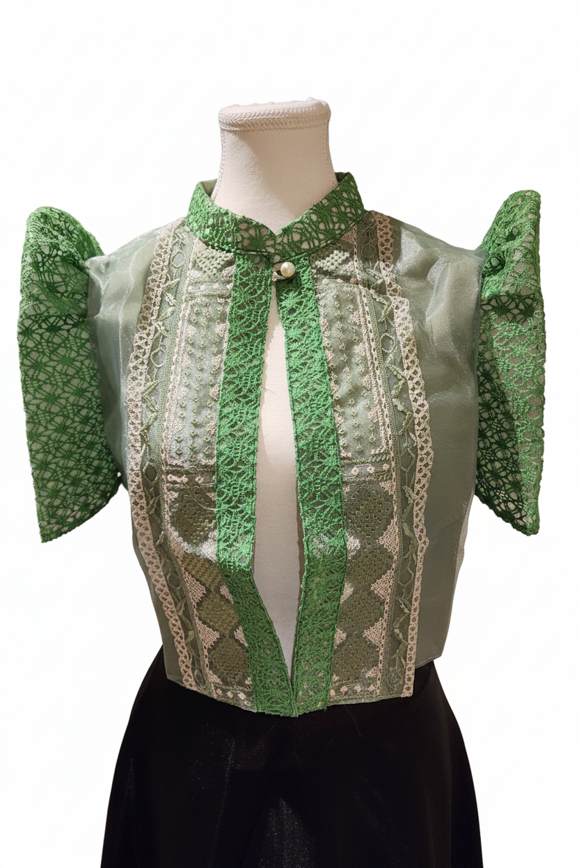 Green bolero background removed